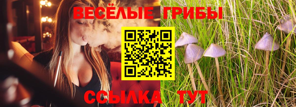 Псилоцибиновые грибы Cubensis  Псилоцибиновые грибы MAGIC MUSHROOMS  Северск  Вход с VPN 